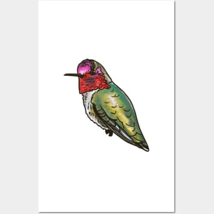 Anna's Hummingbird Posters and Art
